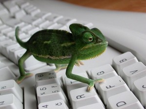 Жизнь хамелеона в нечеловеческих условиях))