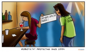 Что делать с robots.txt