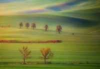 Поле