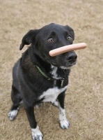 Учимся терпению :) Учимся терпению :)